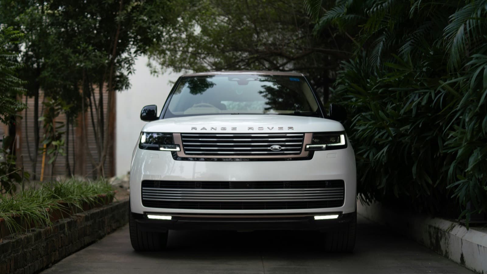Range Rover blanc de dernière génération vu de face dans une allée bordée de végétation